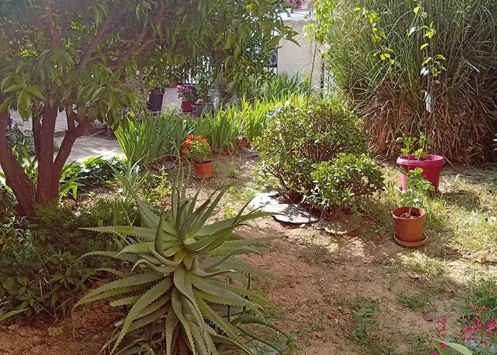 Maison Apartament Perpignan